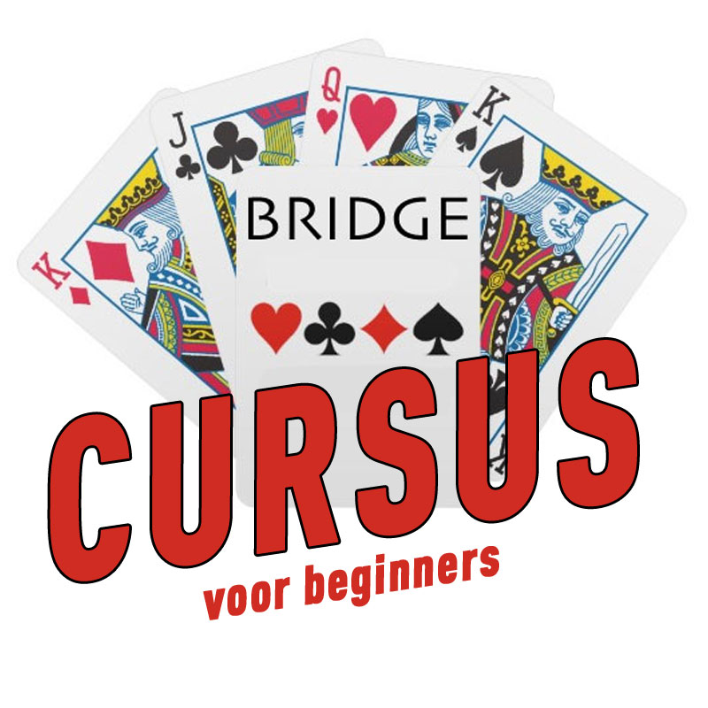 Start met Bridge; Beginnerscursus